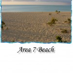 Area_7_Beach